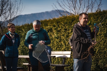 Obrezovanje sadovnjaka ob Prežihovi bajti (13)
